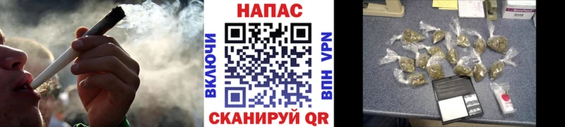 Шишки марихуана сатива Маркс